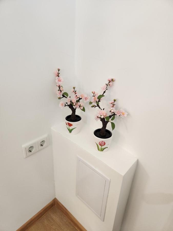 Apartman Zagreb Cca 42M2 With Free Parking Exterior foto